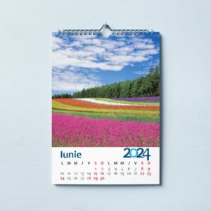 Calendare de perete