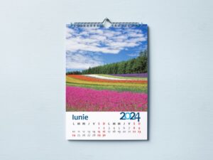 Calendare personalizate